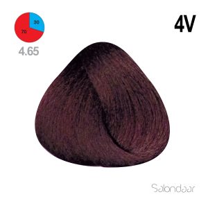 رنگ مو آکوارلی سری شرابی (IRISEE) کد AQ 4V